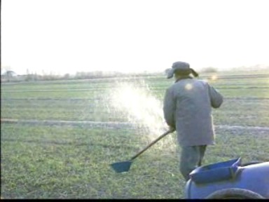 高沙土缺水地區做好抗旱保苗工作