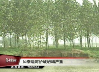 如泰運河護坡坍塌嚴重