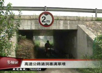 高速公路涵洞塞滿草堆隱患多