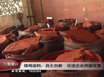 錦雞染料公司依靠自主創新 促進企業持續發展