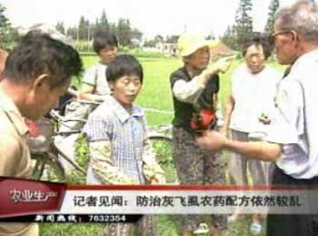 防治灰飛虱農藥配方依然較亂