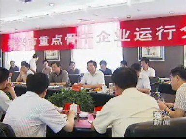 我市召開重點骨干企業運行分析會