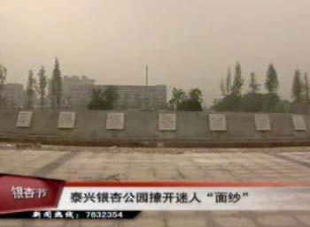 銀杏公園撩開迷人“面紗”