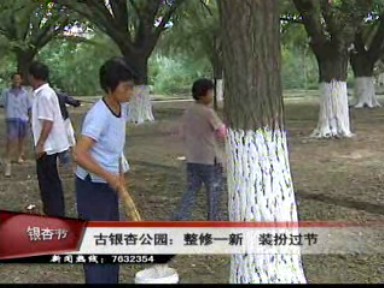 古銀杏公園:整修一新 裝扮過節(jié)