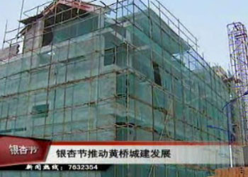 銀杏節推動黃橋城鎮建設