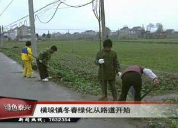 橫垛鎮冬春綠化從路道開始