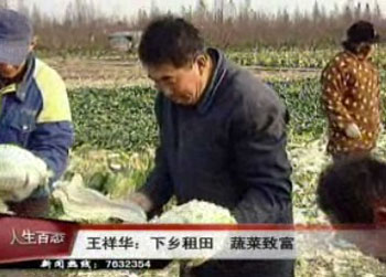 王祥華:下鄉租田 種菜致富