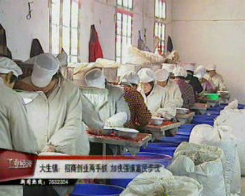 大生鎮:招商創業兩手抓 加快強鎮富民步伐