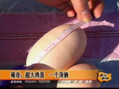 稀奇:超大雞蛋 一個頂倆