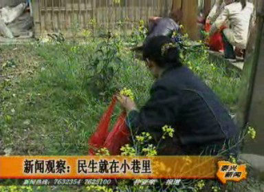 民生就在小巷里