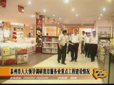 泰州市人大領導調研我市服務業重點工程建設情況