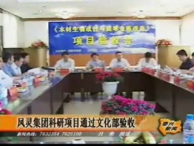 鳳靈集團科研項目通過文化部驗收