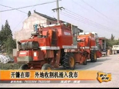 開鐮在即 外地收割機涌入我市