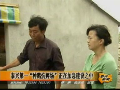 泰興第一“種鵝炕孵基地”即將建成