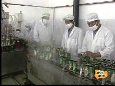 泰興銀杏深加工年產值達3億元