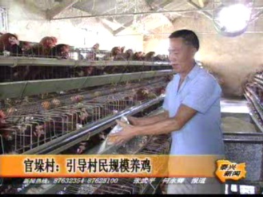官垛村:引導村民規模養雞