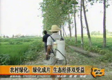 農村綠化:綠化成片,生態經濟雙受益