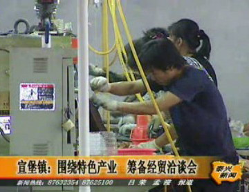 宣堡鎮:圍繞特色產業 籌備經貿洽談會