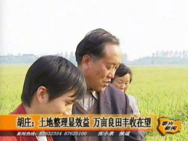 胡莊:土地整理顯效益 萬畝良田豐收在望