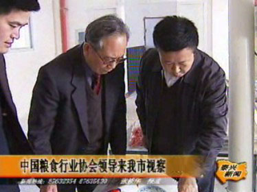 中國糧食行業協會領導來我市視察