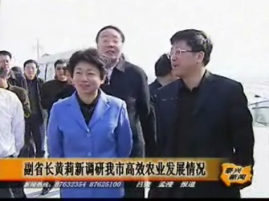 副省長黃莉新調研我市高效農業發展情況