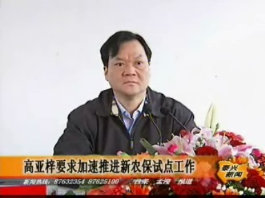 高亞梓要求加速推進新農保試點工作