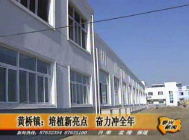 黃橋鎮:培植新亮點 奮力沖全年