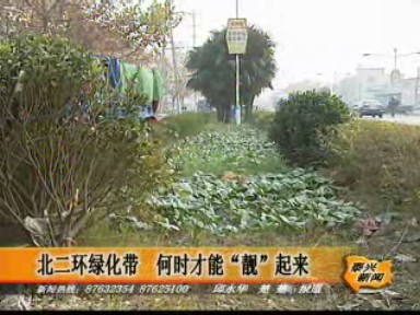 北二環(huán)綠化帶 何時才能“靚”起來