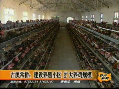 古溪常橋:建設養殖小區 擴大養雞規模