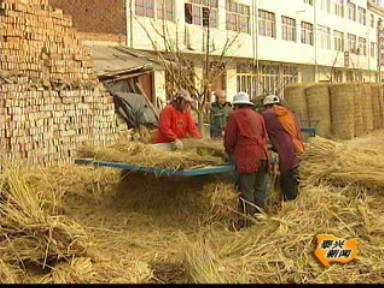 編織草簾秸桿利用新途徑
