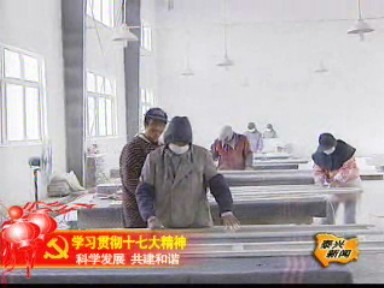 宣堡鎮:多載體開發項目培植新增量