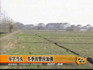 早字當頭 冬季田管應加強