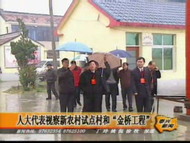 人大代表視察新農(nóng)村試點村和“金橋工程”