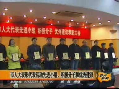 市人大表彰代表活動先進小組、積極分子和優秀建議