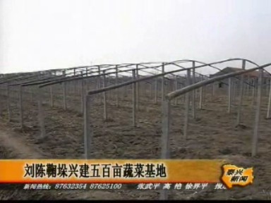 劉陳鞠垛興建500畝蔬菜基地