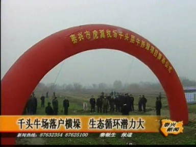 千頭牛場落戶橫垛 生態循環潛力大