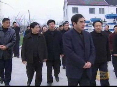 我市老齡工作規范化建設飛躍發展