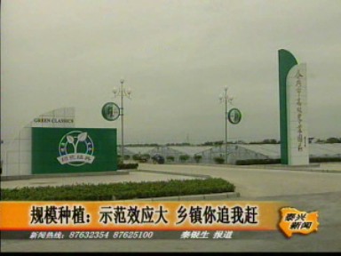 規模種植:示范效應大 鄉鎮你追我趕