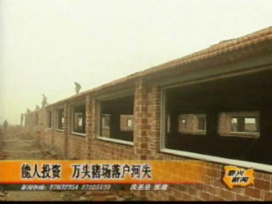 能人投資 萬頭豬場落戶河失