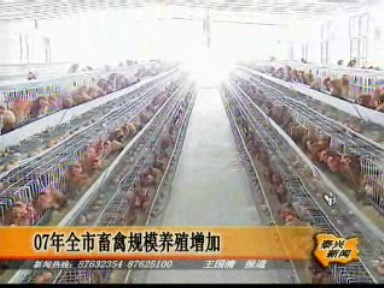 2007年全市畜禽規模養殖增加