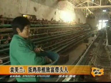 袁美蘭:蛋雞養殖致富帶頭人