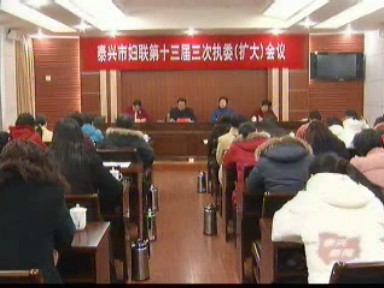 市婦聯(lián)召開十三屆三次執(zhí)委會