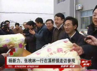 楊新力、張桃林一行走訪慰問溪橋鎮南殷村和江蘇鳳靈集團