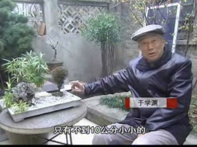 老有所樂 于學淵五年磨一“景”