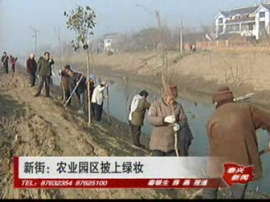 新街:給農業園區披上綠妝