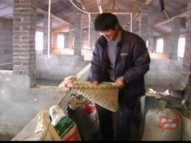 周躍進:殘疾豬倌 勤勞致富