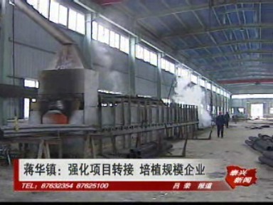 蔣華鎮:強化項目轉接 培植規模企業