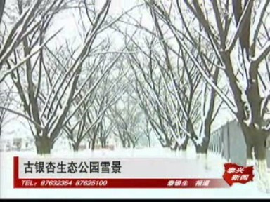 農田披銀妝 來年豐收有保障