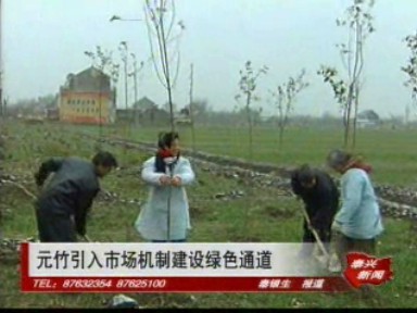 元竹引入市場機制建設綠色通道