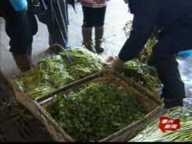 春節(jié)菜市 新鮮蔬菜受青睞